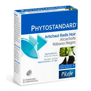 Alcachofa-Rábano Negro de Pileje