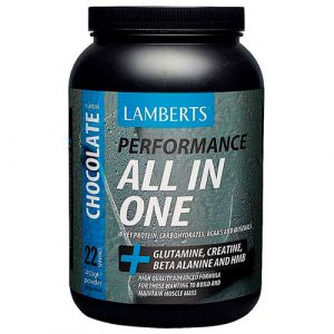 Complete Gainer de Lamberts (Chocolate)