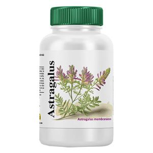 Astragalus de VByotics