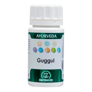 Holofit Ayurveda Guggul de Equisalud