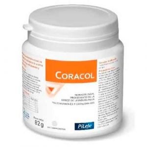 Coracol Pileje