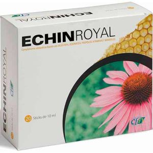 Echin Royal CFN
