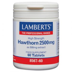 Espino Blanco 2500 mg Lamberts