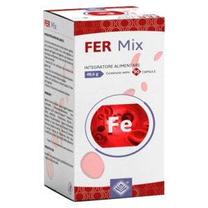 Fer Mix de Gheos (90 cápsulas)