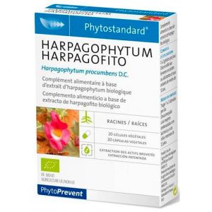 Harpagofito de PiLeJe