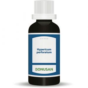 Hypericum Perforatum