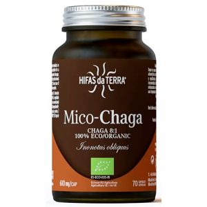 Mico-Chaga de Hifas da Terra