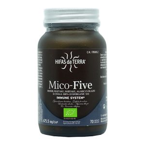 Mico-Five de Hifas da Terra