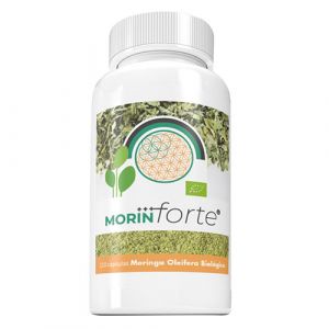 Morin Forte de Margan Biotech