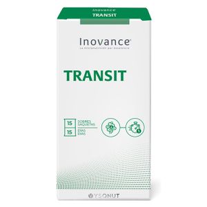 Transit Inovance de Ysonut