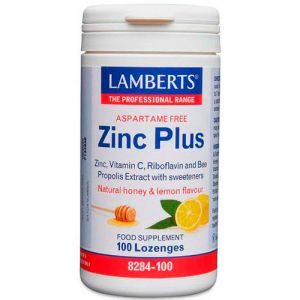 Zinc Plus de Lamberts