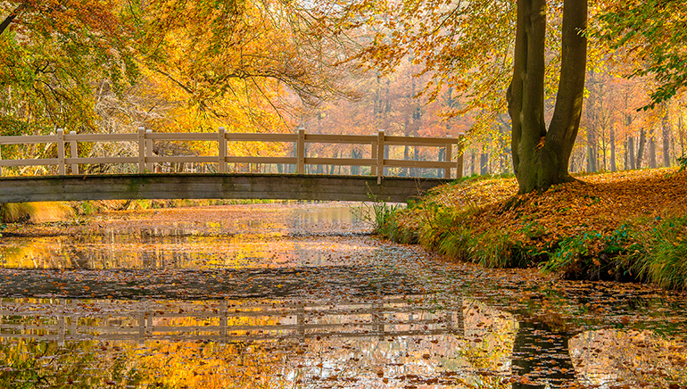 Los mejores suplementos para el otoño